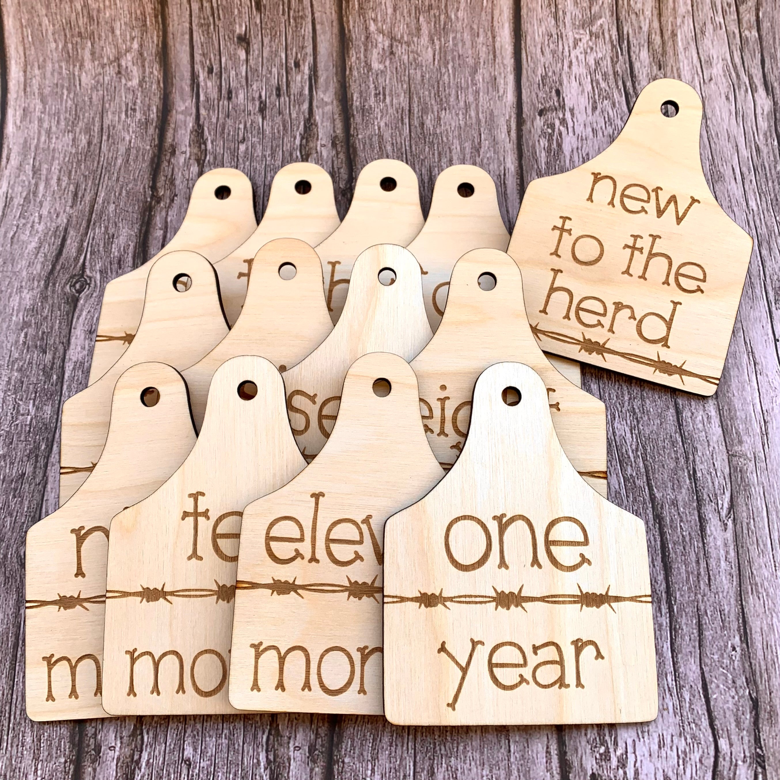 Livestock Cattle Tag Baby Milestone Markers Photo Props - Birth to 1 Year + 'New to the Herd'